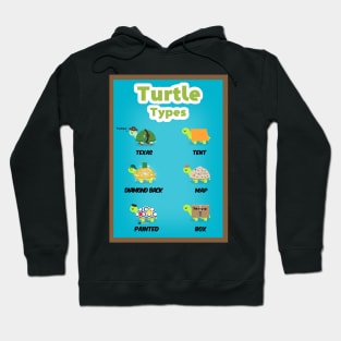 Turtle types version 1/2 Hoodie